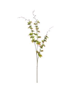 Vara de Mini Orquídea Verde