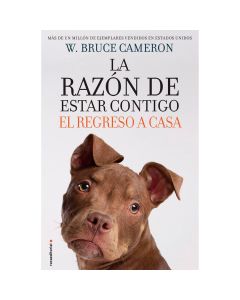 la Razón de Estar CONTIGO. el Regreso a Casa
