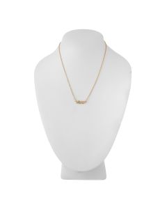 Collar Cocodrilo de ZIRC.