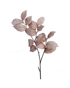 Rama Art Decor