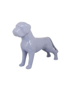 Perro Decor