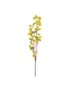 Vara de Durazno Amarillo