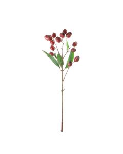 Vara de Berry Rojo