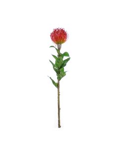 Vara de Wild Mum Rojo