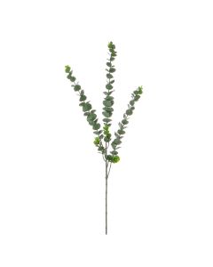 Vara de Dólar 30" Verde