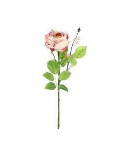 Vara de Rosa Rosa