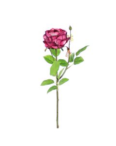 Vara de Rosa Morado