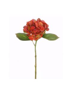 Vara de Hortensia Naranja