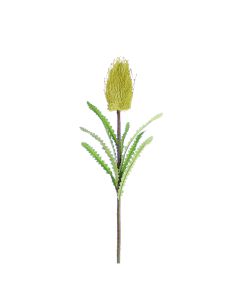 Vara de Flor Verde