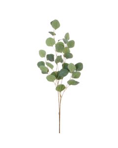 Vara de Dólar Verde