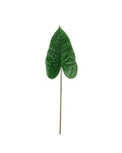 Hoja de Alcatraz Verde