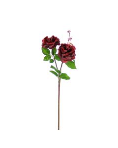 Vara de Rosa X2 DK Rojo
