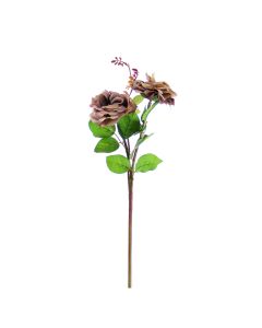 Vara de Rosa X2 DK Mauve
