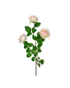 Ramo de 3 Rosas Blancas