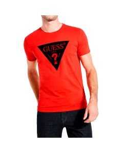 Playera
