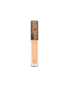 Corrector Liquido 25
