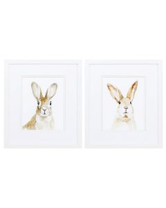 Set 2 Cuadros BUNN