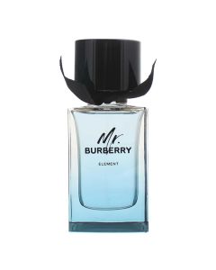 MR. Burberry EDT RG Extent 100 ML
