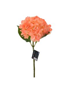 Flor Hortensia Mamey
