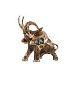 Elefante Africano Grande