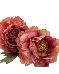Peonystem X3=VARA de Peonia X3