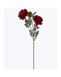 Peonystem X3=VARA de Peonia X3