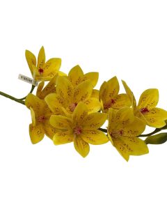 Ruby Magnolia Stem X11