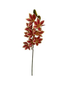 Ruby Magnolia Stem X11
