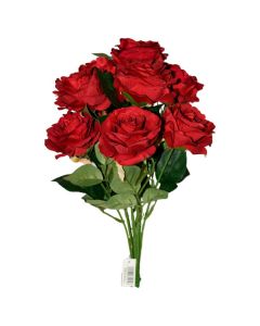 Rosa X9
