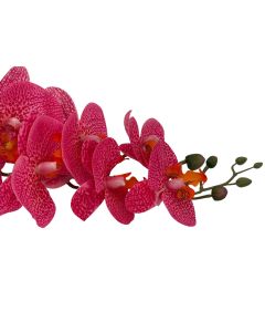 Orquídea Textura Natural X11