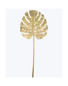 Monstera Chica