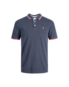 Playera POLO / POLO Shirt Male Knit CO100