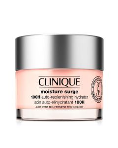 Moisture Surge 100 H 30 ML