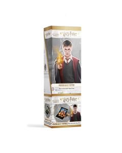Poster Harry Potter