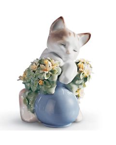 Gatito Dormilón