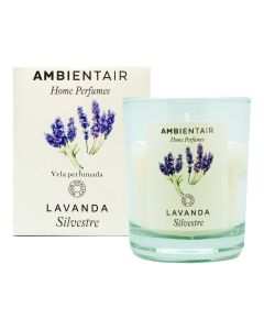 Vela Lavanda
