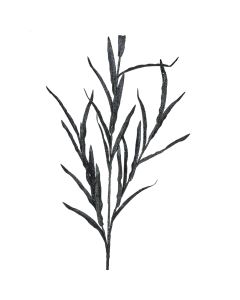 Vara Decorativa