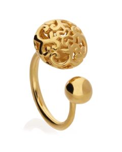 Anillo Abierto ELIA