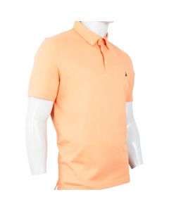 Polo M / C