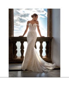 Vestido Estilo Sirena Tul con ENCAJE
