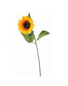 Girasol