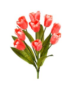 Ramo Tulipanes X9