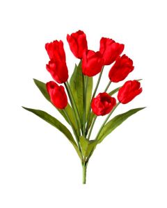 Ramo Tulipanes X9