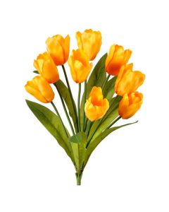 Ramo Tulipanes X9