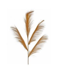 Pampas