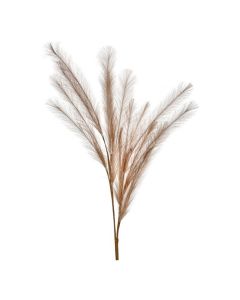 Pluma Foam