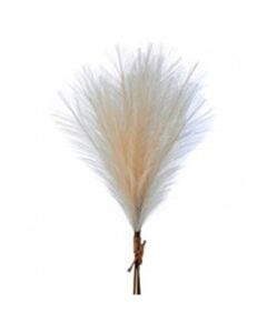 Pampas