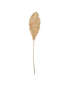 Hoja Decorativa