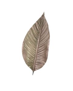 Hoja Decorativo