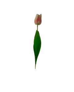 Flor Decor